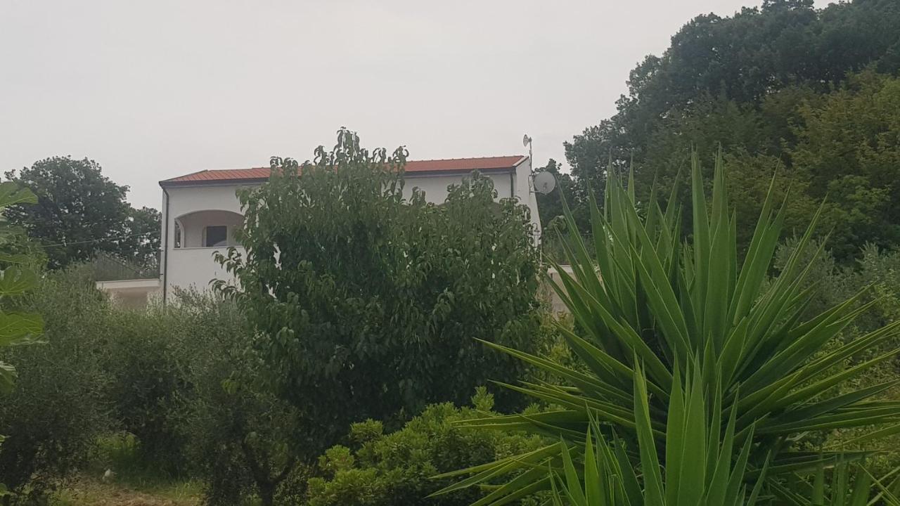 Verde Matematico Vico Del Gargano Zewnętrze zdjęcie